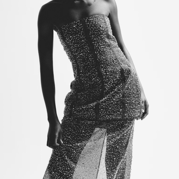 NWT H&M Limited edition Holiday 2024 collection Women Embellished Organza skirt - Picture 4 of 9